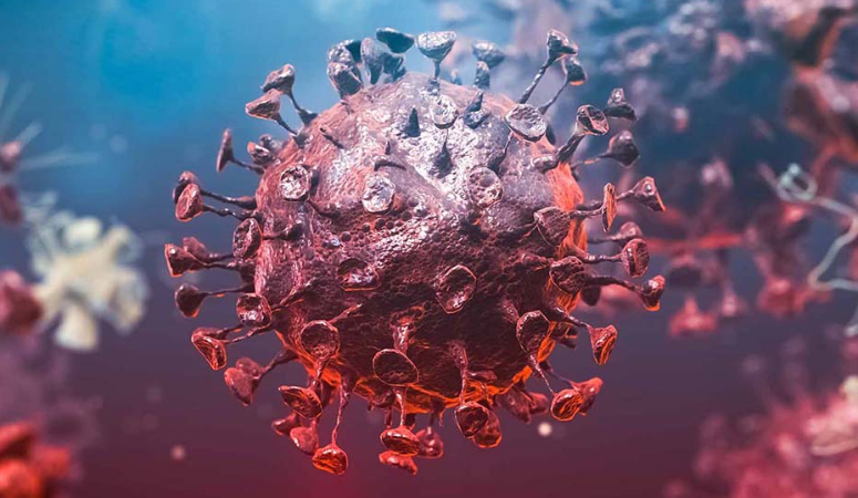 Coronavirus (COVID-19): Evde Bakım ve Önlemler - Webratik
