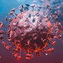 Coronavirus (COVID-19): Evde Bakım ve Önlemler - Webratik